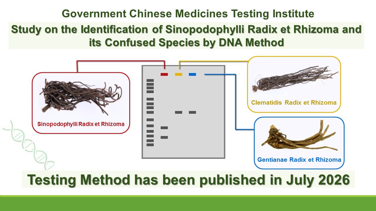 Testing method for “Study on the Identification of Sinopodophylli Radix et Rhizoma and
										its Confused Species by DNA Method” has been published in July 2026